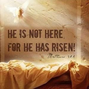 Meet your Posher, Cathy